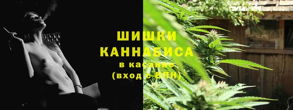 соль ск Белокуриха