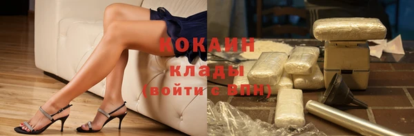 соль ск Белокуриха