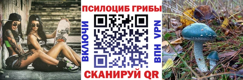 Псилоцибиновые грибы Psilocybe  Воскресенск 